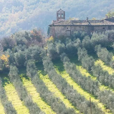 In Massi * Poggio Alla Croce